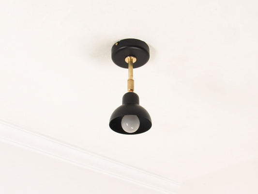 Black Brass ceiling light fixture on a white background